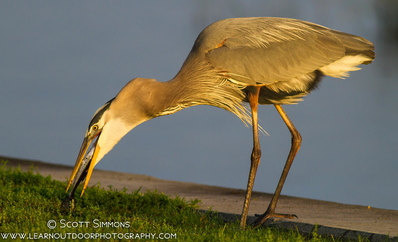 Photo & Video Sharing by SmugMug Photo & Video Sharing by SmugMug