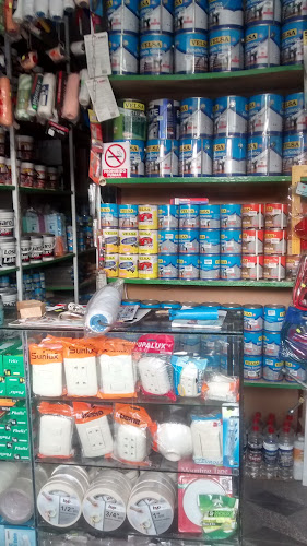 Opiniones de La Tienda del Pintor en San Juan de Lurigancho - Tienda de pinturas