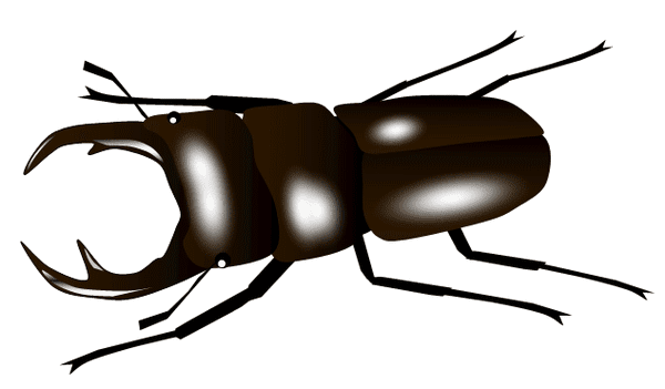 美しい花の画像 最新くわがた イラスト