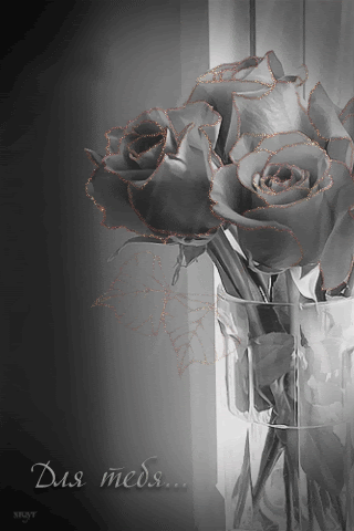 Нежность роз