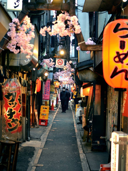 thien-duong-do-nuong-dem-hut-du-khach-o-tokyo-2