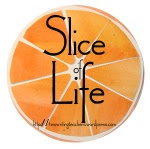 SOLSC Button