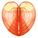 Cream Heart Sea Shell