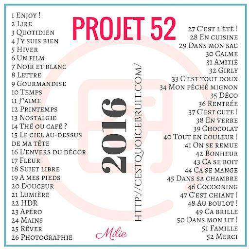 Projet 52 Edition 2016