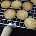 Vinegar Cookies Best Family Recipes