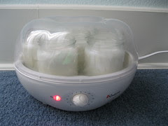 yogurt making