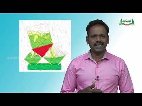 வகுப்பு 10 கணக்கு அலகு 4 வடிவியல் வடிவொத்த முக்கோணங்கள் Kalvi TV