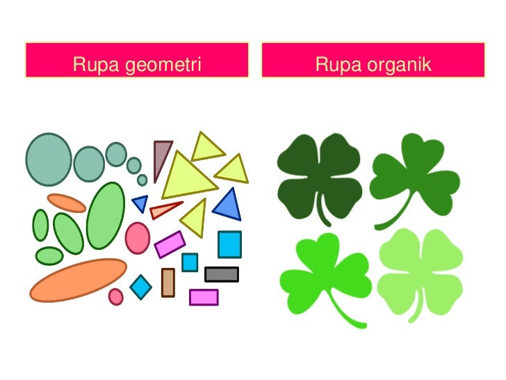 Rupa Rupa