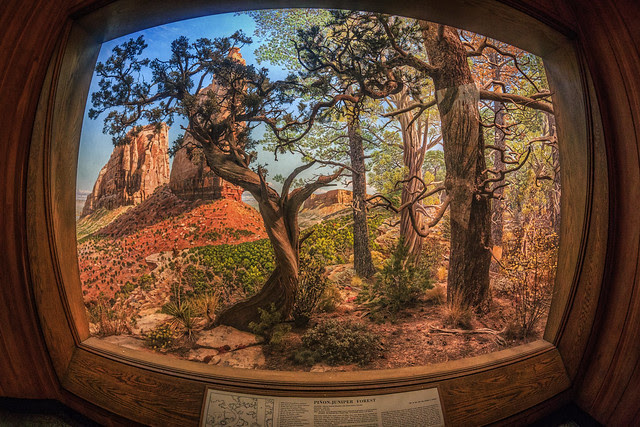 Window on Colorado