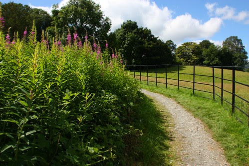 On the path to Wray Castle