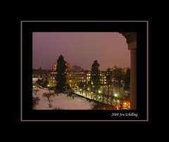 Purple Night
