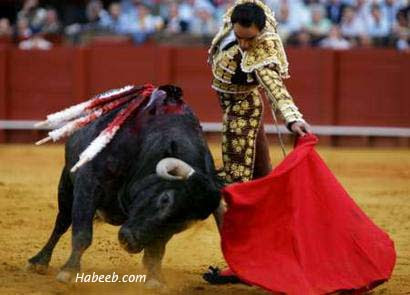 http://www.habeeb.com/images/matador.bullfight.11.jpg