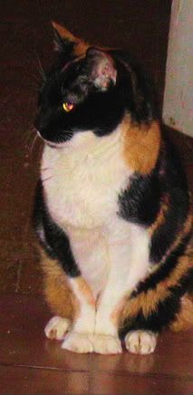 lydia