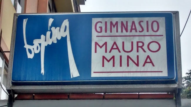Opiniones de Gimnasio Mauro Mina en Surquillo - Gimnasio