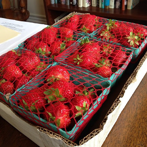 Last week my landlady picked a bunch of my strawberries before they were ripe, rendering them useless and me livid. Today a friend of mine sent me these as a replacement. I am one lucky lady (with an office that smells like summer!)