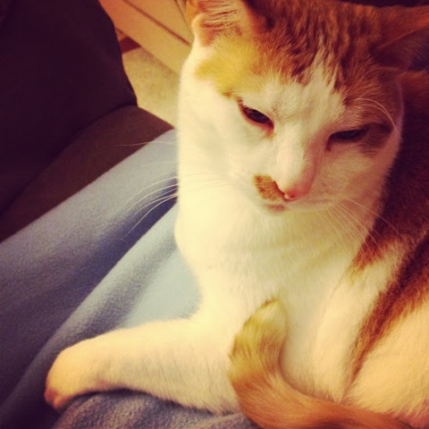20120309-060033.jpg