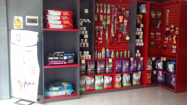 Clínica Veterinaria Pet Center - Lince - Veterinario