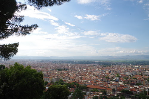 IMGP1345
