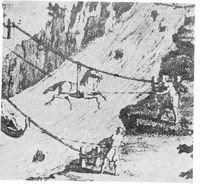 Animal powered ropeways