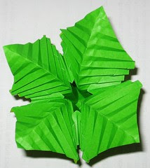Oriland Fern