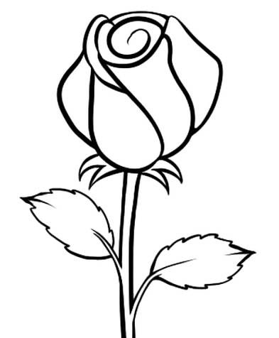 Sketsa Gambar Bunga Mawar / Sketsa Gambar Bunga Mawar | Sketsa, Lukisan ...