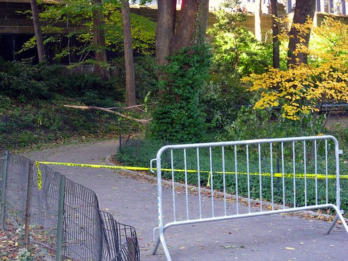 Central Park Clean up