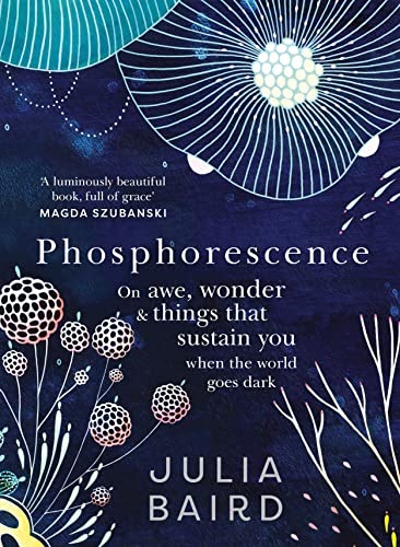 Phosphorescence On Awe Wonder And Things That Sustain You When The World Goes Dark