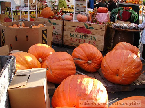 Franklin Cider Mill