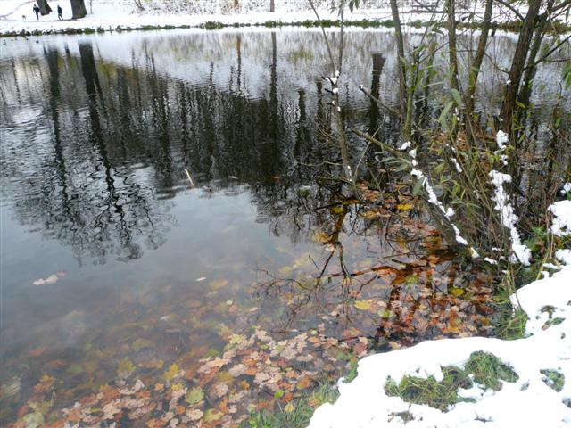 P1150997