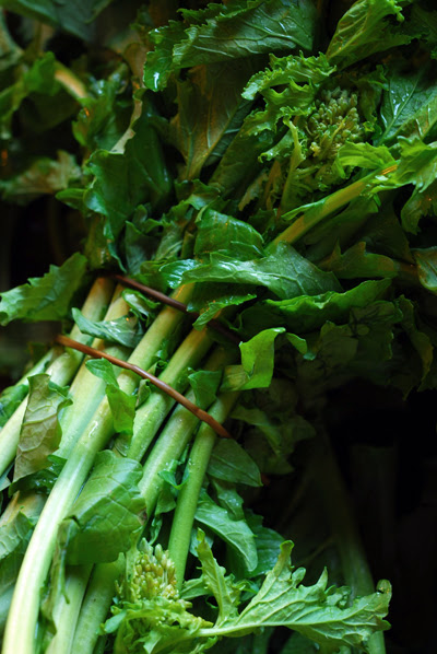 Cime di Rapa