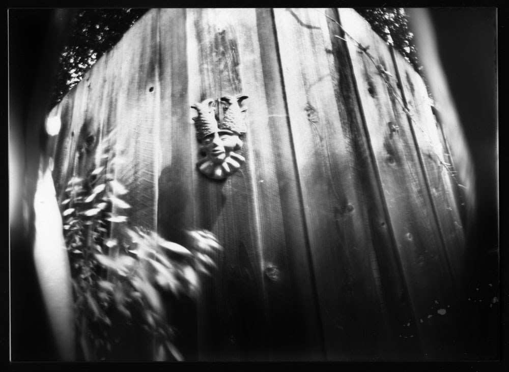 photo of garden fence made with homemade pinhole camera for Worldwide Pinhole Photography Day