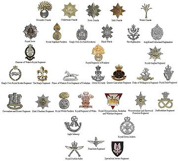Moriarty blog: british army cap badges