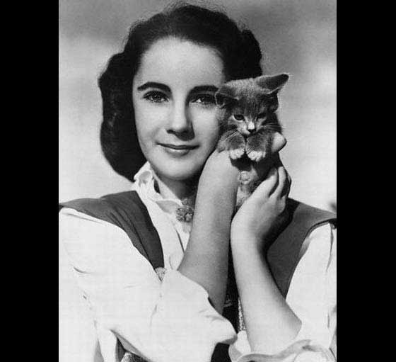 Liz Taylor