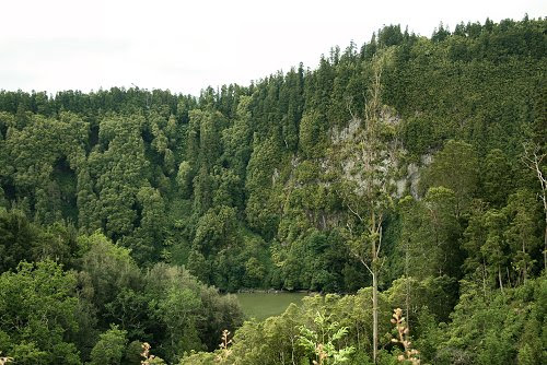 20090610-vs-8621