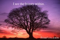 I see the beauty within