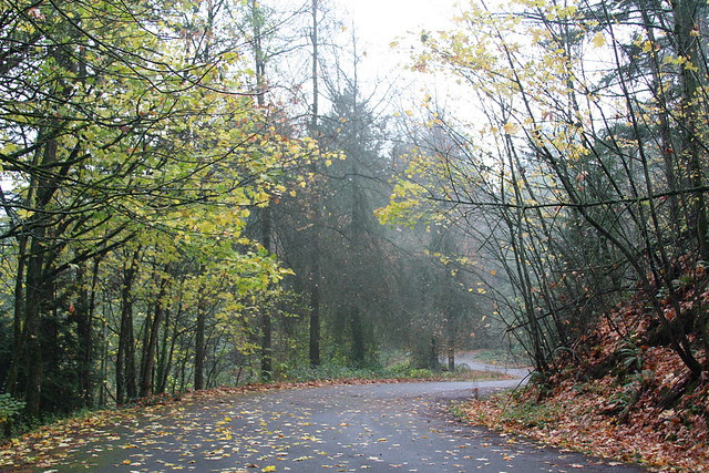 Woods Memorial Natural Area