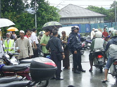 Demo Pokok Assam Jelutong