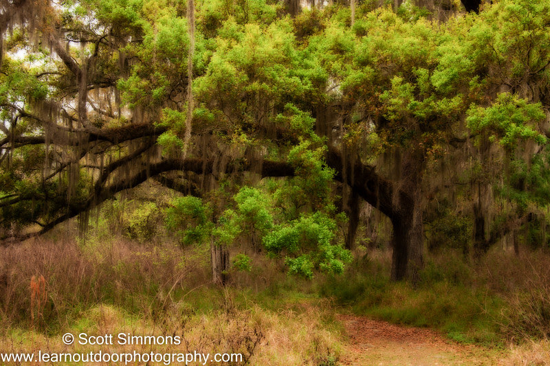 Photo & Video Sharing by SmugMug Photo & Video Sharing by SmugMug