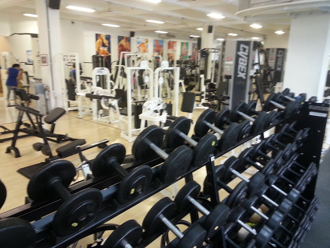 Academia Aerostep Studio - Porto Alegre