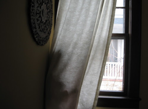 hidden at window