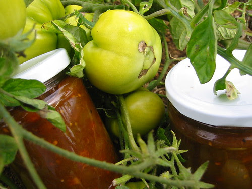 chutney