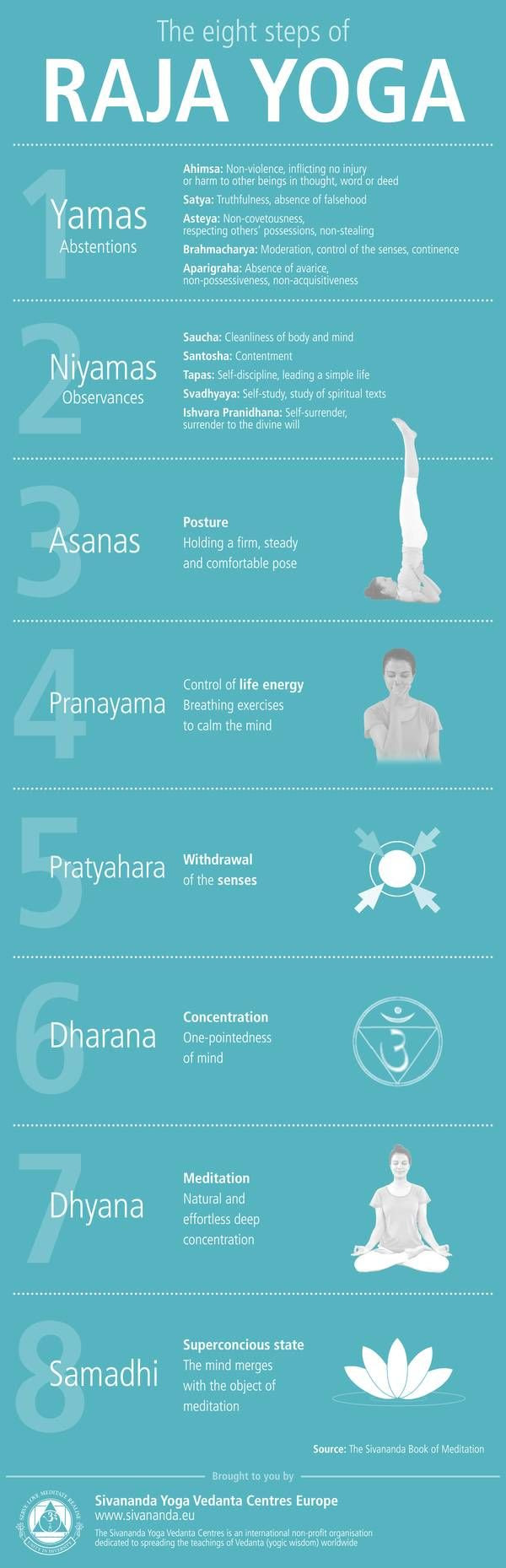 Risultati immagini per raja yoga