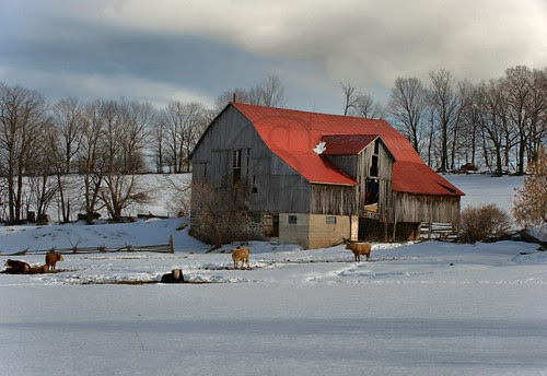Orillia - Red-Roofed Barn (2)