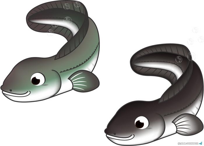 最も気に入った うなぎ イラスト フリー Free Illustration Material