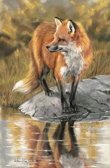 Foxfire