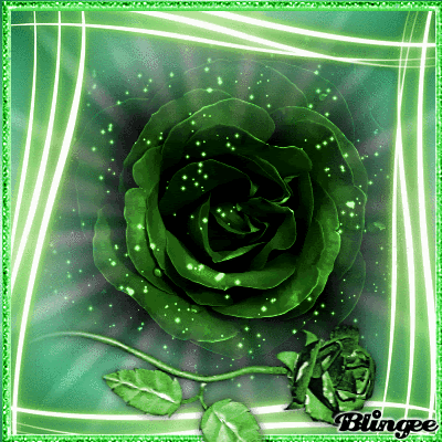Зелёная роза