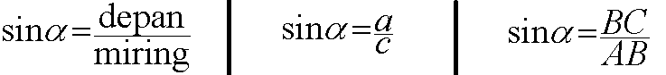 sinus