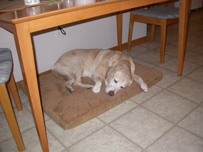 New Bed