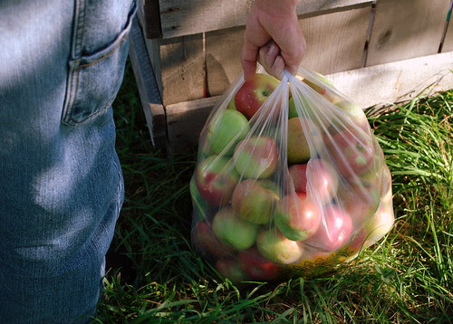 Apple Picking bag