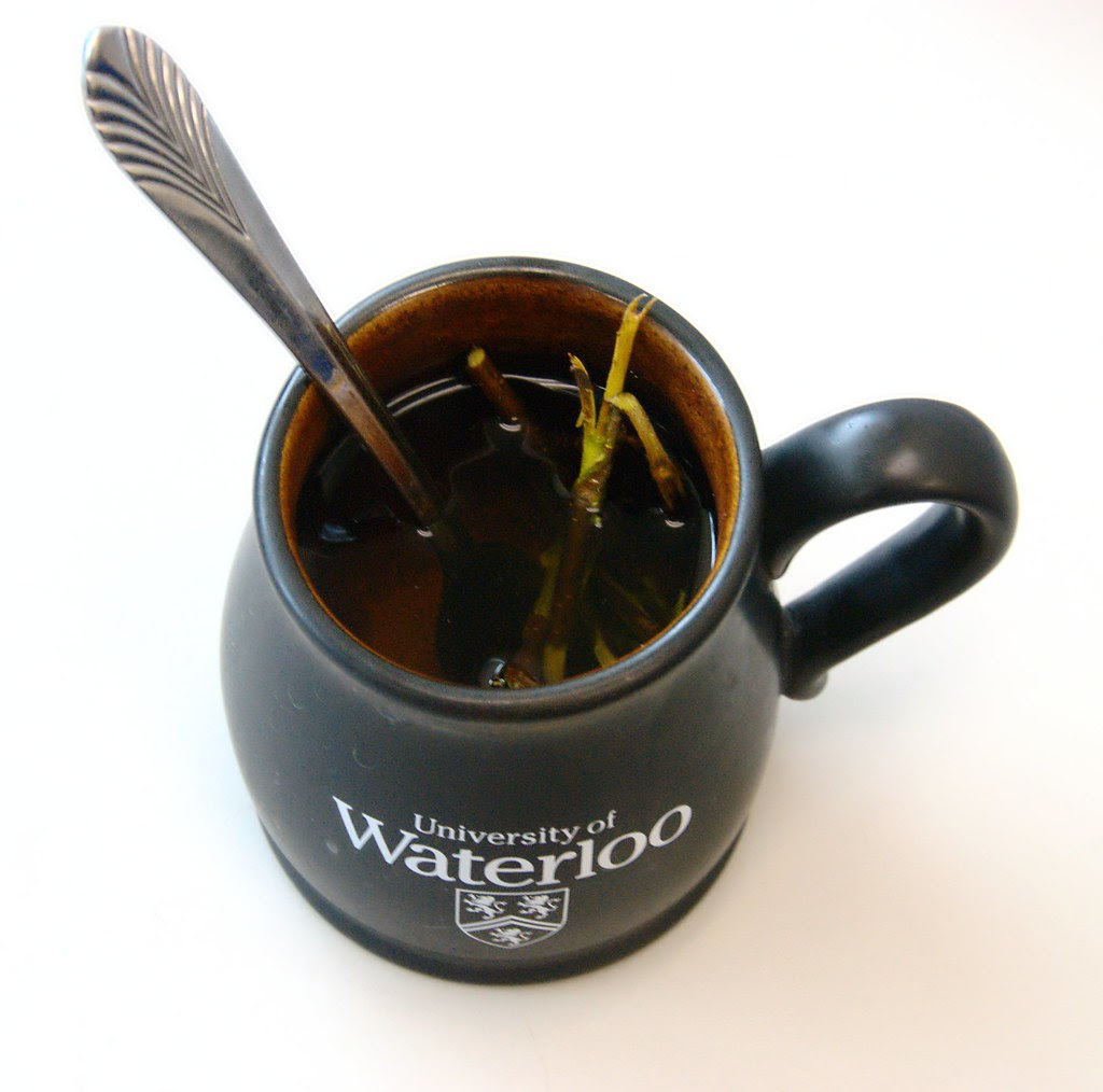A tea mug containing birch twigs.